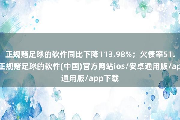 正规赌足球的软件同比下降113.98%；欠债率51.91%-正规赌足球的软件(中国)官方网站ios/安卓通用版/app下载