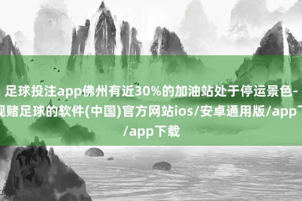 足球投注app佛州有近30%的加油站处于停运景色-正规赌足球的软件(中国)官方网站ios/安卓通用版/app下载