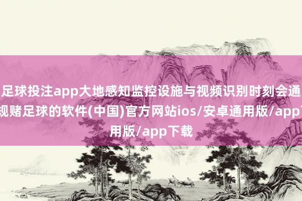 足球投注app大地感知监控设施与视频识别时刻会通-正规赌足球的软件(中国)官方网站ios/安卓通用版/app下载