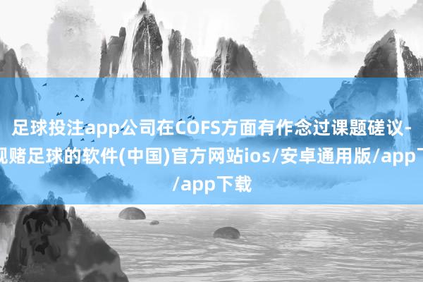 足球投注app公司在COFS方面有作念过课题磋议-正规赌足球的软件(中国)官方网站ios/安卓通用版