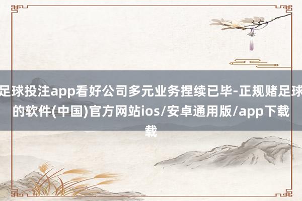 足球投注app看好公司多元业务捏续已毕-正规赌足球的软件(中国)官方网站ios/安卓通用版/app下载