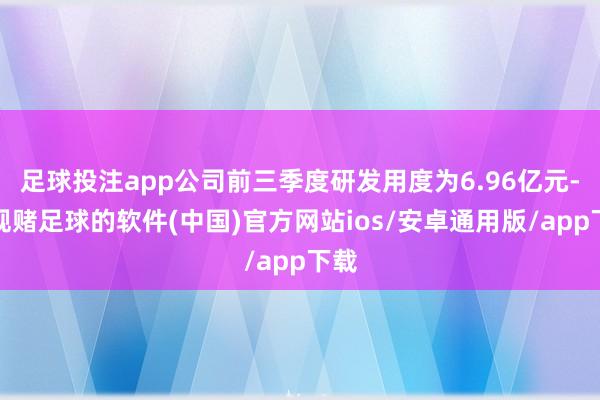 足球投注app公司前三季度研发用度为6.96亿元-正规赌足球的软件(中国)官方网站ios/安卓通用版