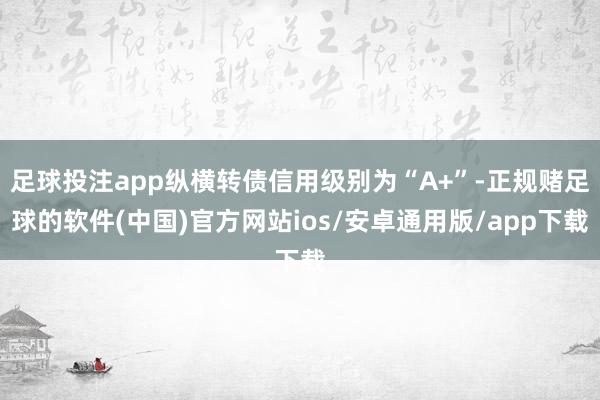 足球投注app纵横转债信用级别为“A+”-正规赌足球的软件(中国)官方网站ios/安卓通用版/app下载