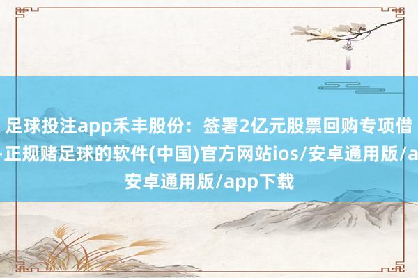 足球投注app禾丰股份：签署2亿元股票回购专项借款公约-正规赌足球的软件(中国)官方网站ios/安卓通用版/app下载