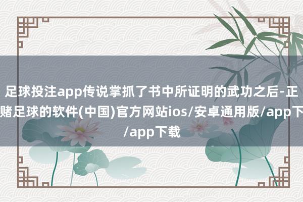 足球投注app传说掌抓了书中所证明的武功之后-正规赌足球的软件(中国)官方网站ios/安卓通用版/app下载