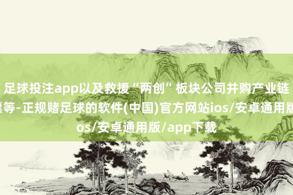 足球投注app以及救援“两创”板块公司并购产业链高卑劣钞票等-正规赌足球的软件(中国)官方网站ios/安卓通用版/app下载