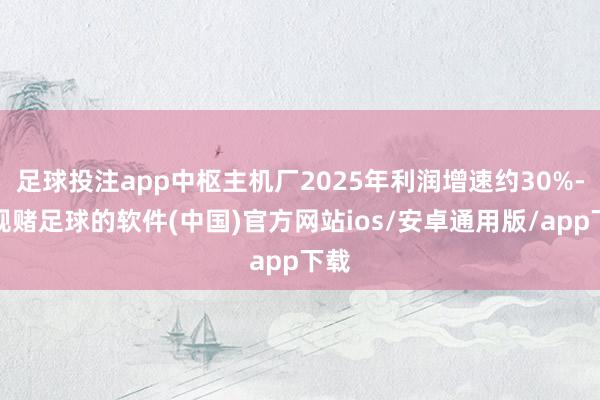 足球投注app中枢主机厂2025年利润增速约30%-正规赌足球的软件(中国)官方网站ios/安卓通用版/app下载