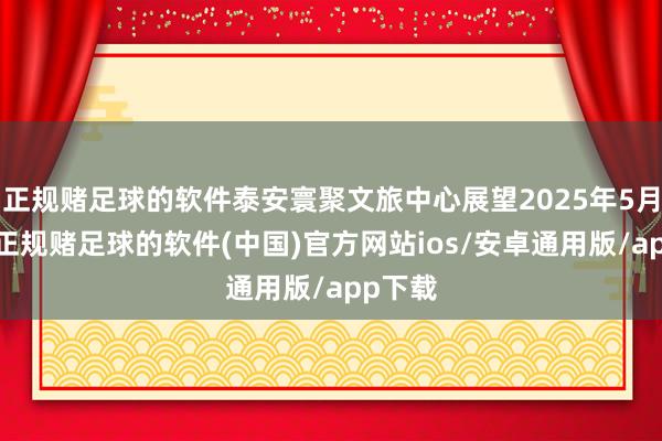 正规赌足球的软件泰安寰聚文旅中心展望2025年5月开业-正规赌足球的软件(中国)官方网站ios/安卓通用版/app下载