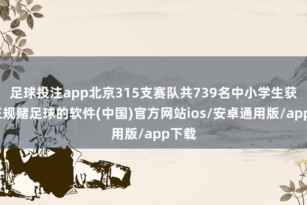 足球投注app北京315支赛队共739名中小学生获奖-正规赌足球的软件(中国)官方网站ios/安卓通用版/app下载