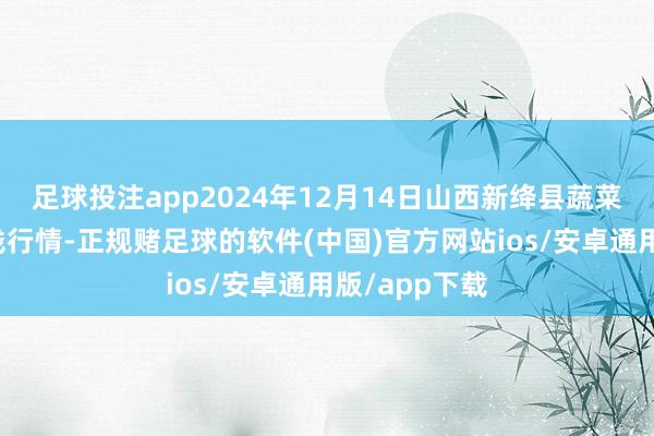 足球投注app2024年12月14日山西新绛县蔬菜批发阛阓价钱行情-正规赌足球的软件(中国)官方网站