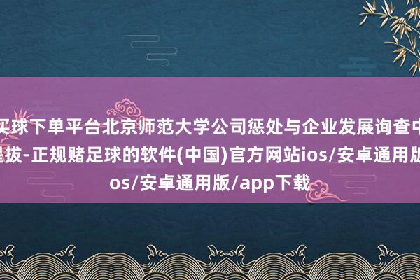 买球下单平台北京师范大学公司惩处与企业发展询查中心主任、提拔-正规赌足球的软件(中国)官方网站ios