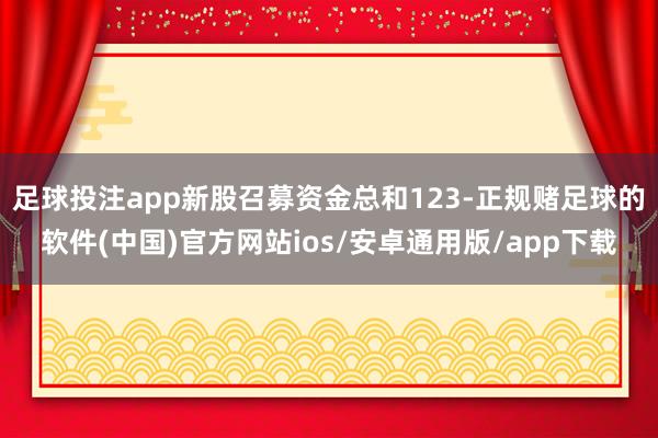 足球投注app新股召募资金总和123-正规赌足球的软件(中国)官方网站ios/安卓通用版/app下载