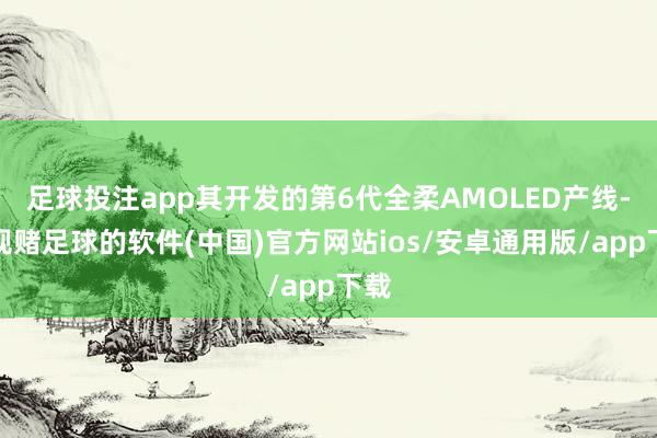 足球投注app其开发的第6代全柔AMOLED产线-正规赌足球的软件(中国)官方网站ios/安卓通用版/app下载