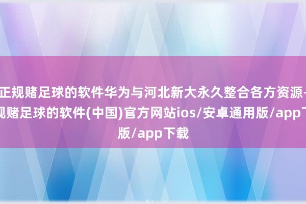 正规赌足球的软件华为与河北新大永久整合各方资源-正规赌足球的软件(中国)官方网站ios/安卓通用版/