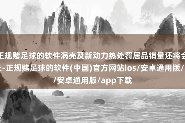 正规赌足球的软件涡壳及新动力热处罚居品销量还将会有所增长-正规赌足球的软件(中国)官方网站ios/安