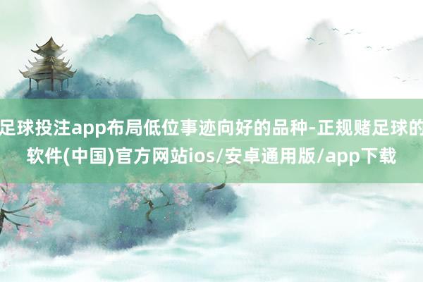 足球投注app布局低位事迹向好的品种-正规赌足球的软件(中国)官方网站ios/安卓通用版/app下载