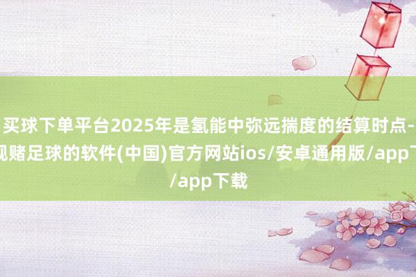 买球下单平台2025年是氢能中弥远揣度的结算时点-正规赌足球的软件(中国)官方网站ios/安卓通用版/app下载